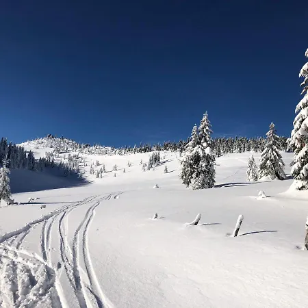 Apartmán Helena Hrabovo - Helena 5 *