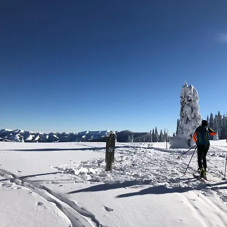 Helena Hrabovo - Helena 5