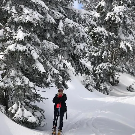 Helena Hrabovo - Helena 5