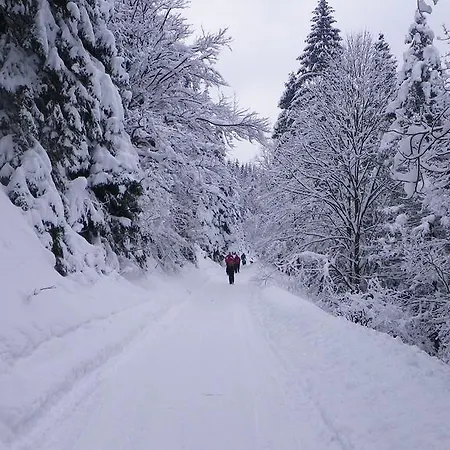 Apartman Helena Hrabovo - Helena 5